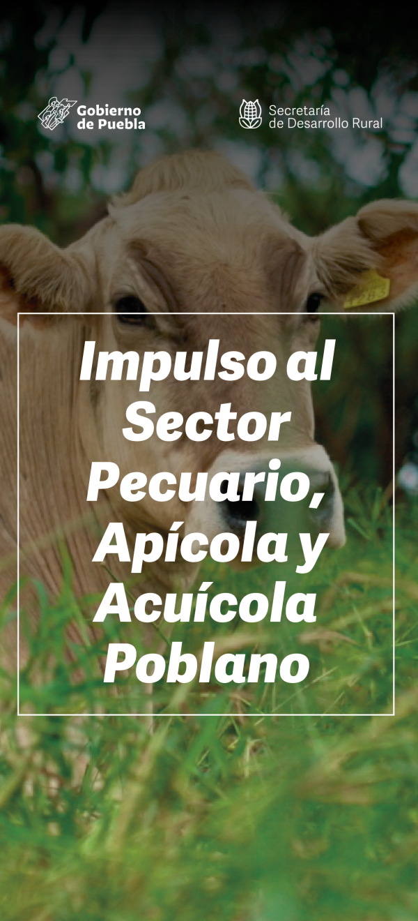 Convocatoria del Programa Recuperación del Campo Poblano, Componente IV. Impulso del Sector Pecuario, Apícola y Acuícola Poblano