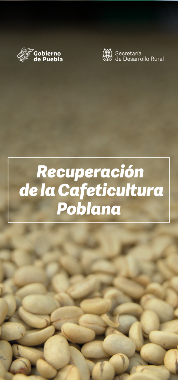 Convocatoria del Programa Recuperación del Campo Poblano, Componente l. Recuperación de la Cafeticultura Poblana