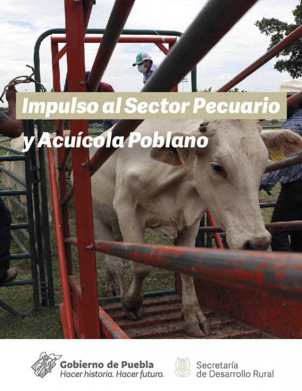 Convocatoria del Programa Recuperación del Campo Poblano, Componente IV. Impulso al Sector Pecuario y Acuícola Poblano