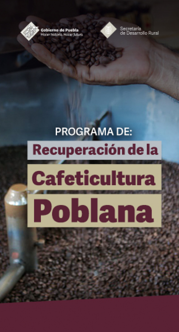 Convocatoria Recuperación del Campo Poblano, Componente l. Recuperación de la Cafeticultura Poblana