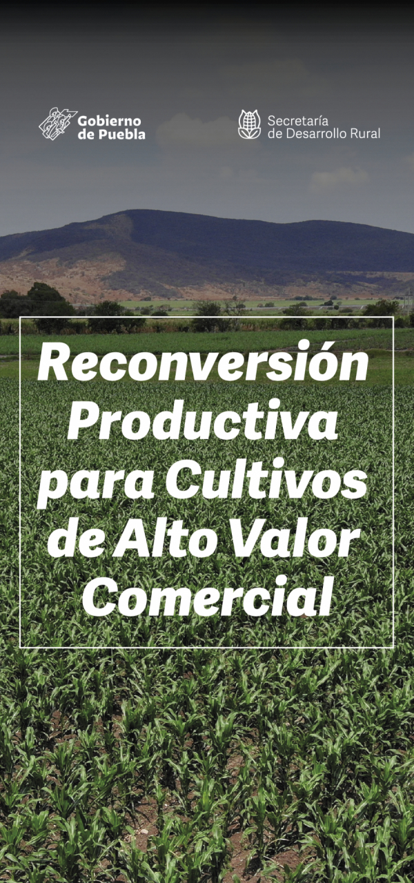 Convocatoria del Programa, Recuperación del Campo Poblano, Componente II. Reconversión Productiva para Cultivos de Alto Valor Comercial