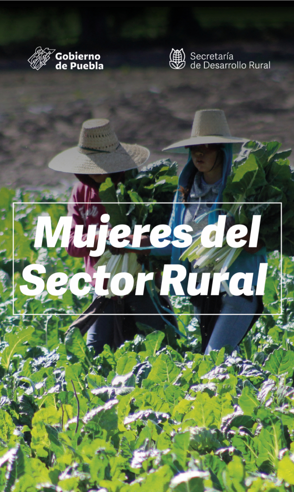 Convocatoria del Programa Impulso a las Mujeres del Sector Rural